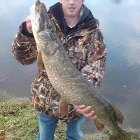 Gasthof Fortview House