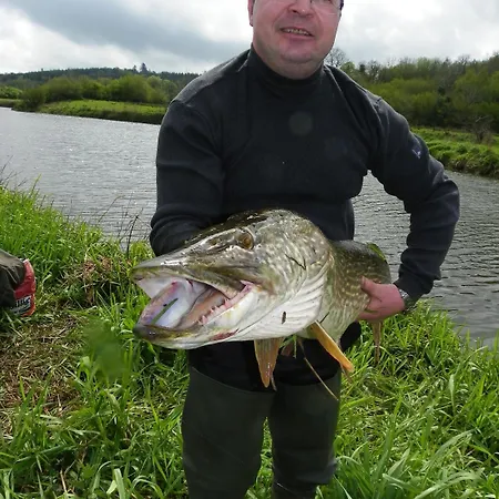 Fortview House Gasthof