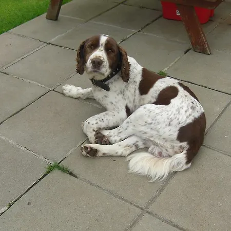 Gasthof Fortview House Cavan