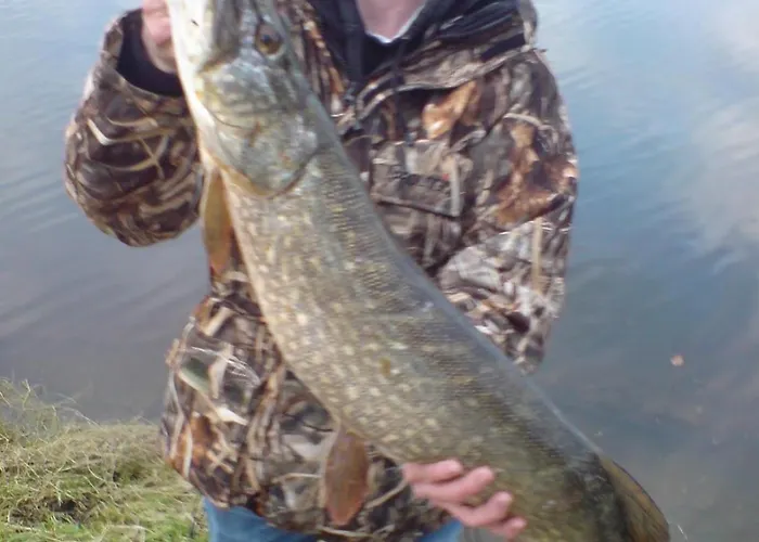 ゲストハウス Fortview House