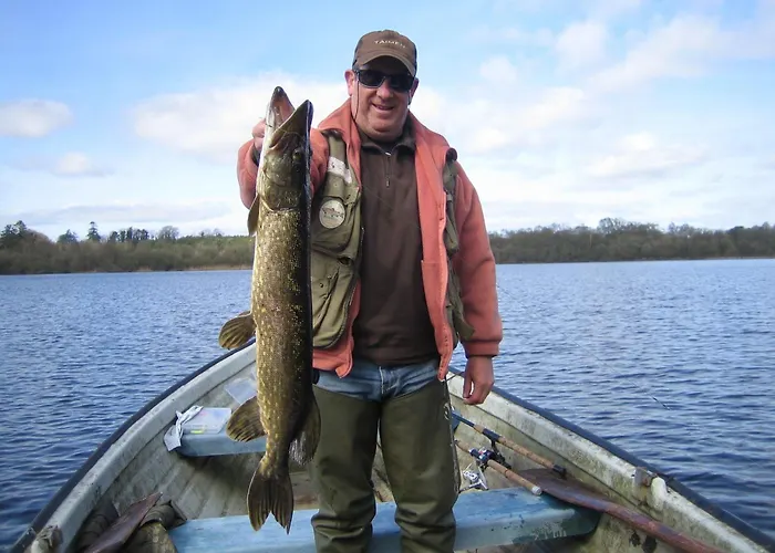 Fortview House ゲストハウス 3*