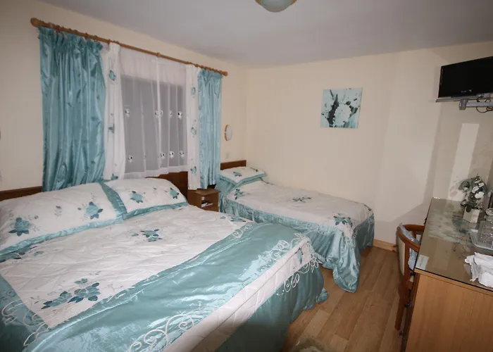 Pensjonat Fortview House Cavan