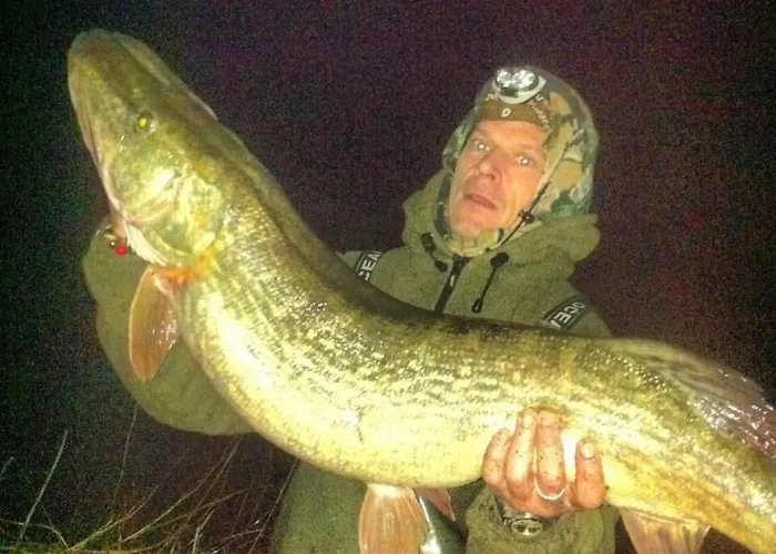 Fortview House Cavan