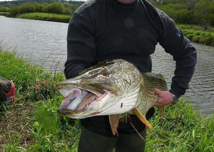 Fortview House ゲストハウス