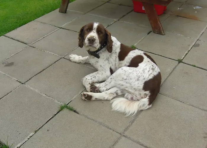 ゲストハウス Fortview House キャヴァン